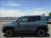 2017 Jeep Renegade Trailhawk