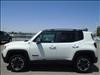 2017 Jeep Renegade Trailhawk