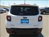 2017 Jeep Renegade Trailhawk