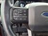 2022 Ford F-150 Raptor - thumbnail 10