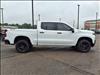 2021 Chevrolet Silverado 1500 LT Trail Boss - thumbnail 17
