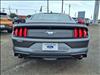 2022 Ford Mustang EcoBoost Premium - thumbnail 19