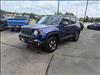 2019 Jeep Renegade Trailhawk