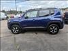 2019 Jeep Renegade Trailhawk