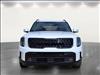 2025 Kia Telluride SX-Prestige X-Pro - thumbnail 16