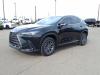 2023 Lexus NX 350h