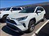 2019 Toyota RAV4 Hybrid