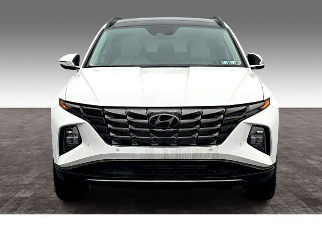 2023 Hyundai TUCSON Limited - Photo 2