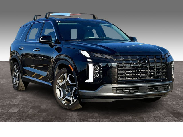 2023 Hyundai PALISADE SEL - Photo 3