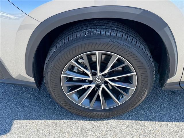 2023 Lexus NX 250 Premium