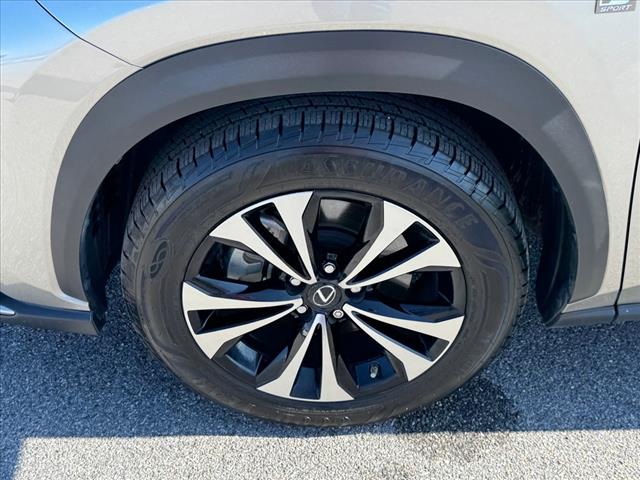 2020 Lexus NX 300 F SPORT