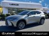 2025 Lexus NX 350