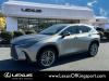 2025 Lexus NX 350