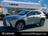 2025 Lexus NX 350h