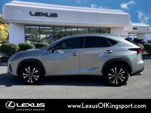 2020 Lexus NX 300 F SPORT