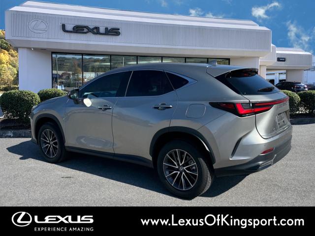 2023 Lexus NX 250 Premium