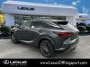 2024 Lexus RX 350 Luxury