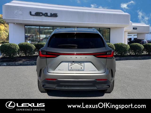 2023 Lexus NX 250 Premium