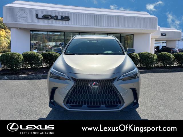 2023 Lexus NX 250 Premium