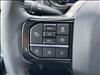 2025 Ford F-250 Super Duty Platinum