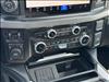 2025 Ford F-250 Super Duty Platinum