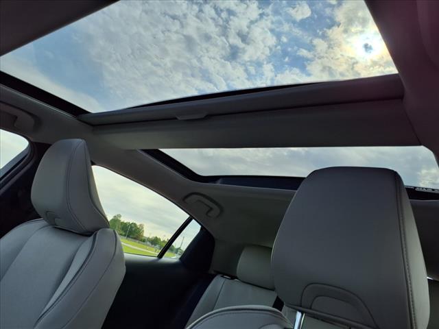 2025 Toyota Prius XLE