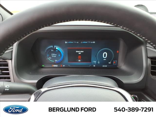 2025 Ford F-150 Lightning Platinum - Photo 14