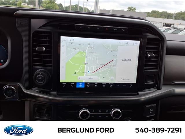 2024 Ford F-150 Platinum - Photo 16