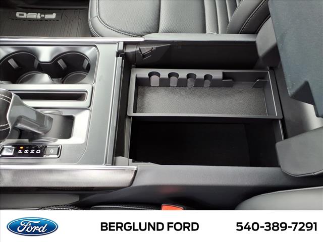 2025 Ford F-150 Lightning Platinum - Photo 20
