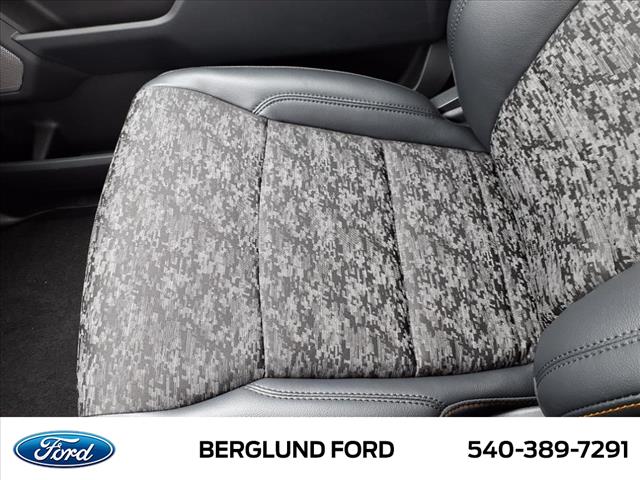 2025 Ford F-150 Tremor - Photo 20