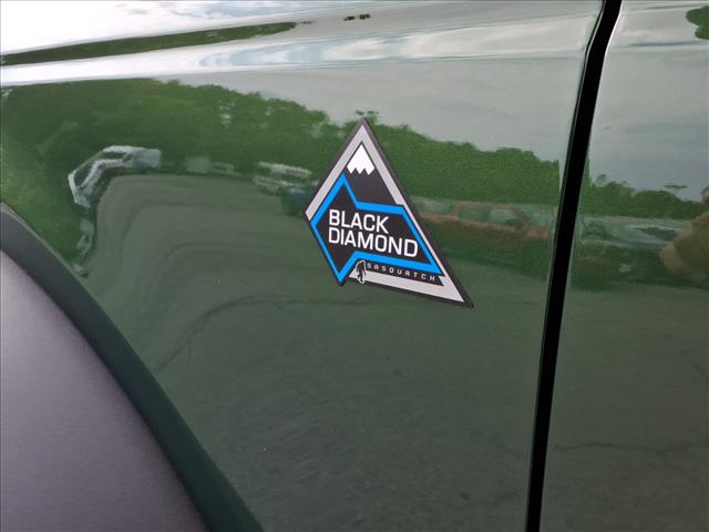 2024 Ford Bronco Black Diamond - Photo 37