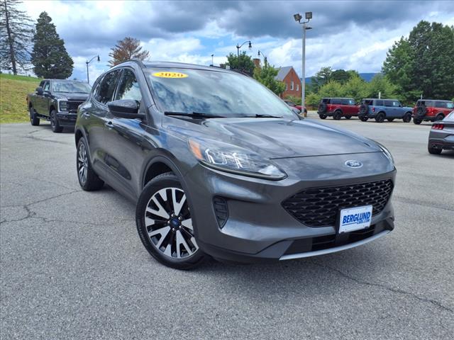 2020 Ford Escape Hybrid SE Sport - Photo 3