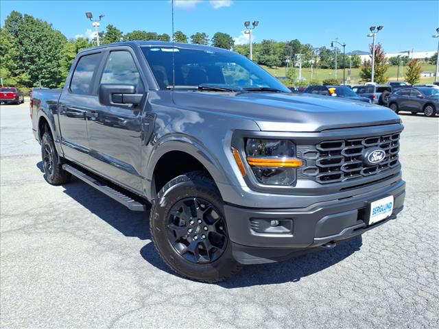 2025 Ford F-150 STX - Photo 3