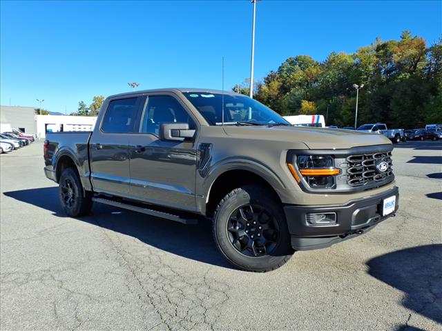 2025 Ford F-150 STX - Photo 3