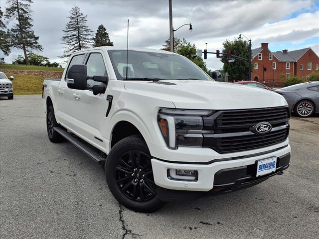 2024 Ford F-150 Platinum - Photo 3