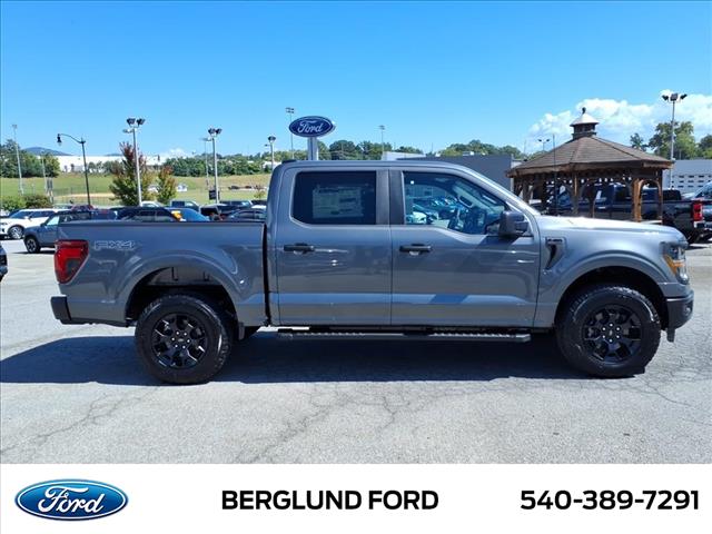 2025 Ford F-150 STX - Photo 4