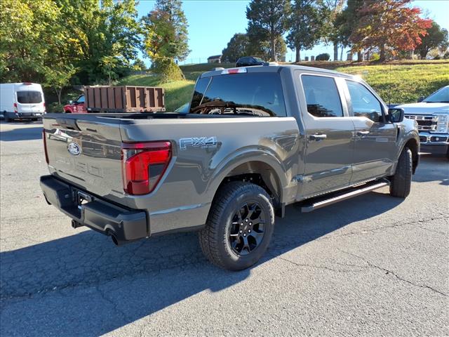 2025 Ford F-150 STX - Photo 5