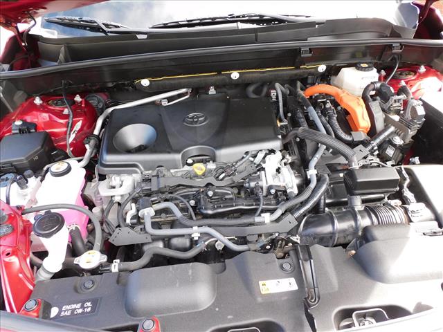 2021 Toyota Venza XLE:MJ058155