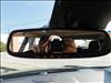 2021 Nissan Rogue Sport SL