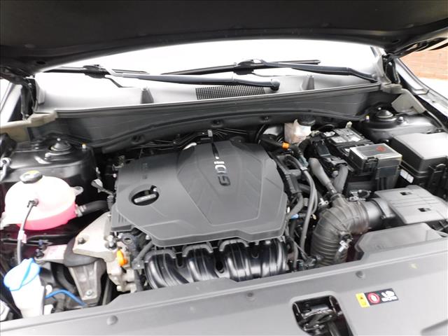 2024 Kia Sportage X-Line:RG233035