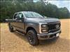 2025 Ford F-250 Super Duty XL