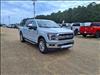 2025 Ford F-150 SERIES 