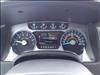 2013 Ford F-150 Platinum