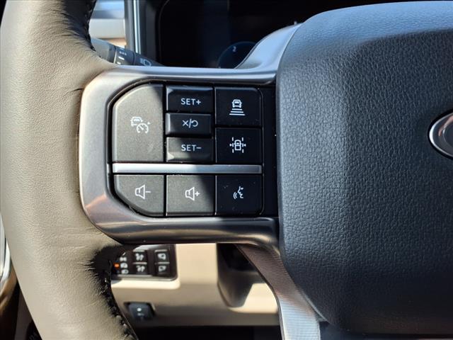 2025 Ford F-350 Super Duty Platinum