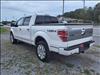 2013 Ford F-150 Platinum