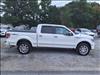 2013 Ford F-150 Platinum