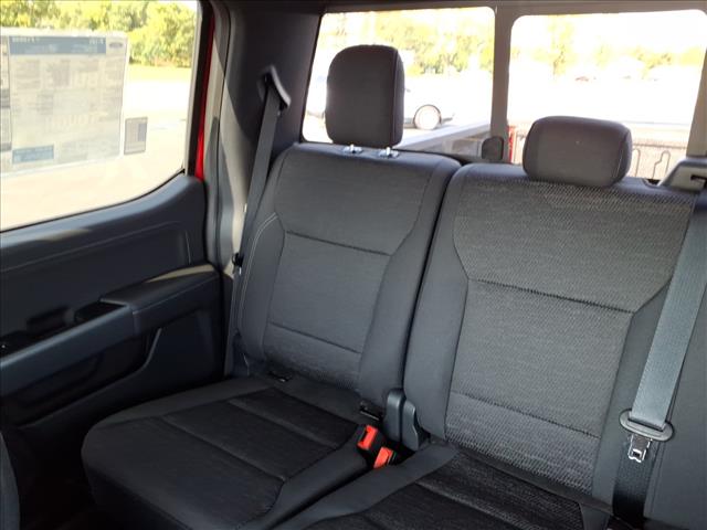 2025 Ford F-150 XLT:94391W