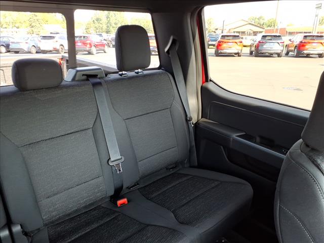 2025 Ford F-150 XLT:94391W