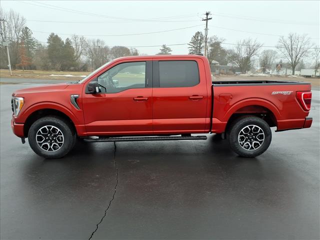 2023 Ford F-150 XLT:6431