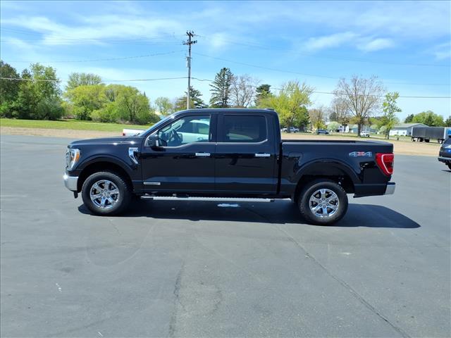 2023 Ford F-150 XLT:6461